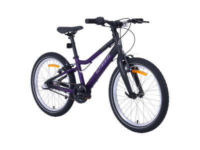 Велосипед Alpinebike 2025 Pegas 3-20 фиолетовый космос