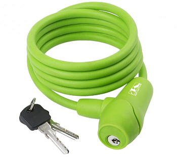 29