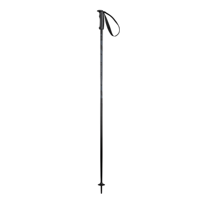 Палки горнолыжные Elan Hotrod Black