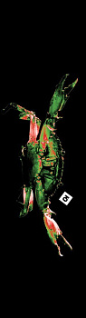 1 1