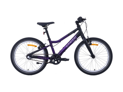 Велосипед Alpinebike 2025 Pegas 3-20 фиолетовый космос Велосипед Alpinebike 2025 Pegas 3-20 фиолетовый космос