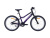 Велосипед Alpinebike 2025 Pegas 3-20 фиолетовый космос