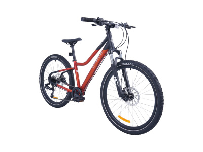 Велосипед Alpinebike 2025 Pegas 7-24 рассветный оранжевый